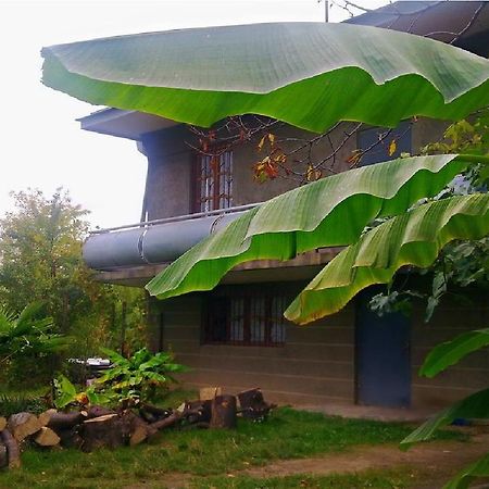 Farmer'S Guest House Телаві Екстер'єр фото