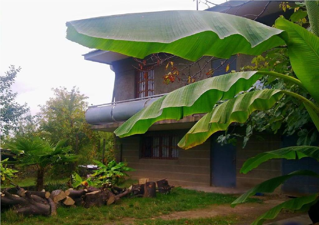 Farmer'S Guest House Телаві Екстер'єр фото